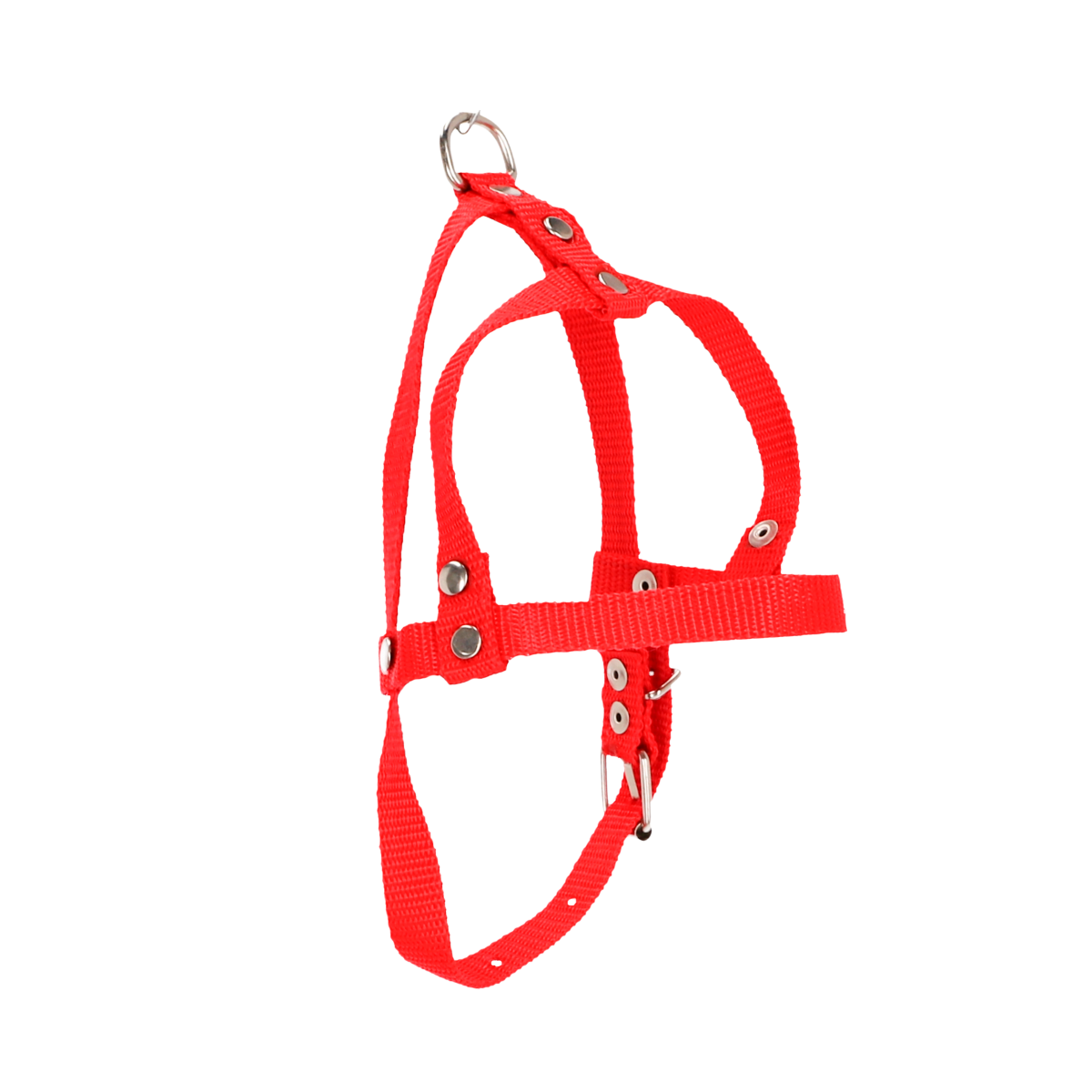 Pechera No14