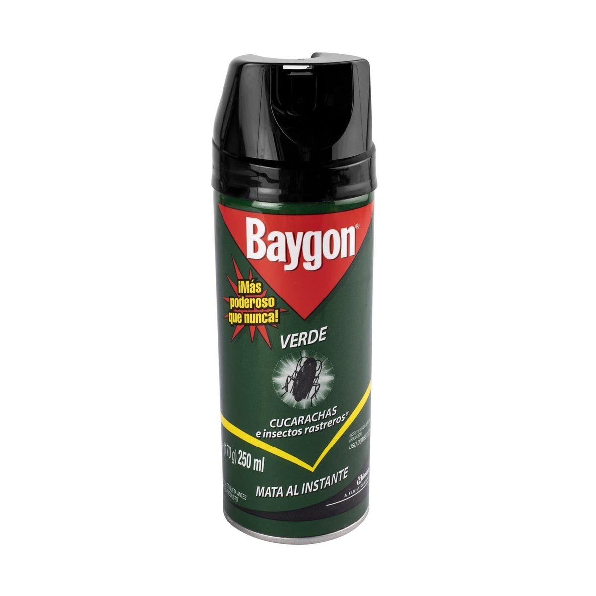 E Baygon Ae 250 Ml Mexico 12