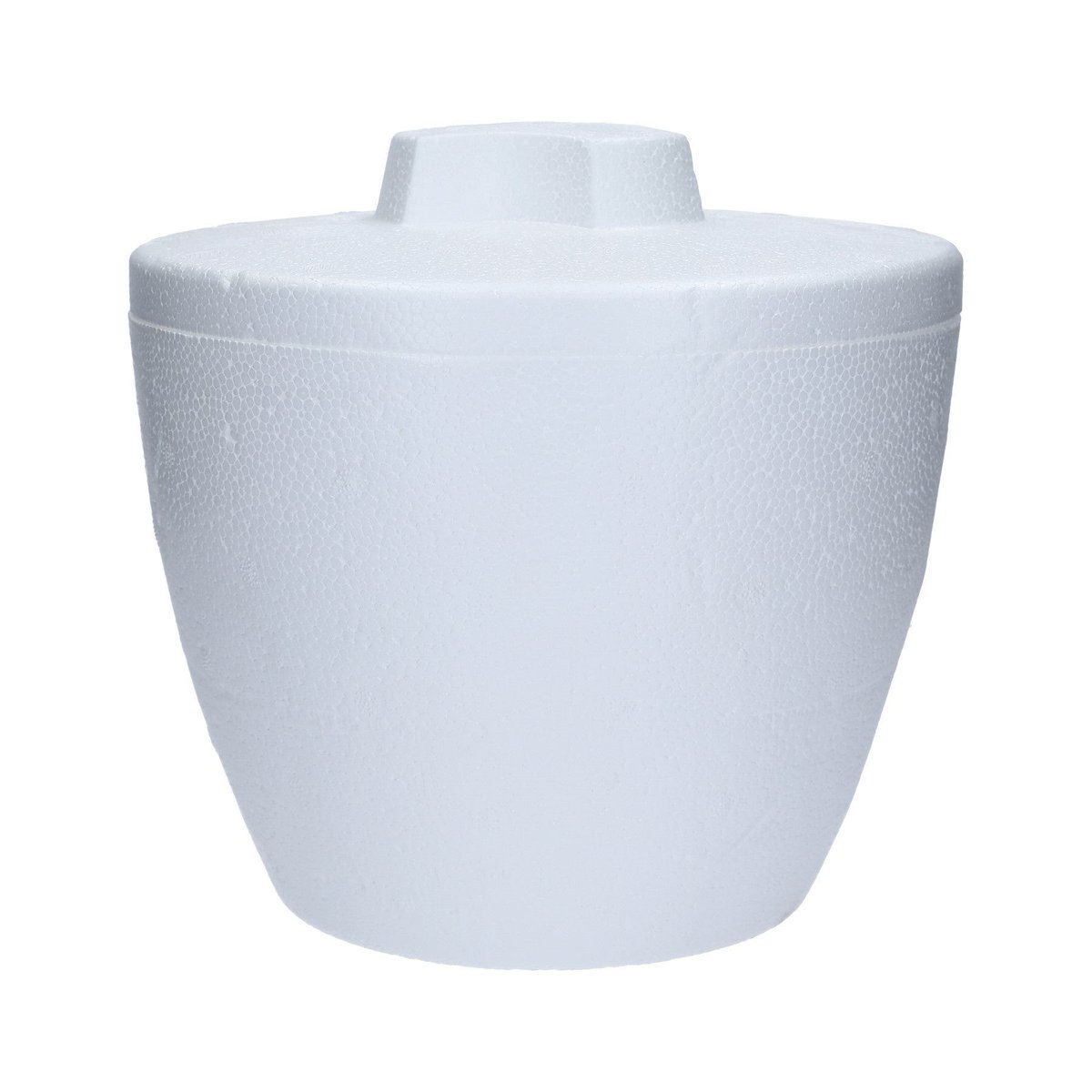 Hielera De Foam 3Lt
